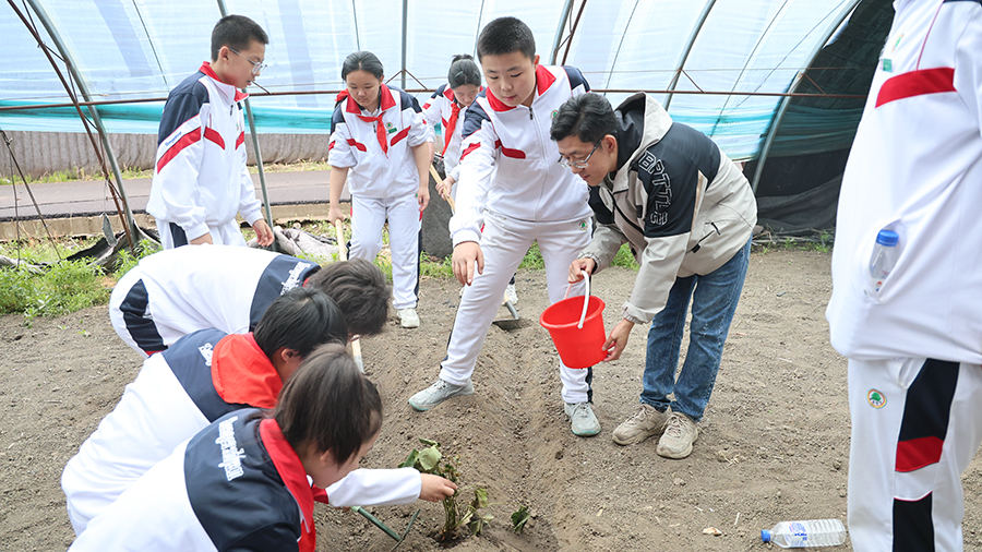 图片12.2.JPG